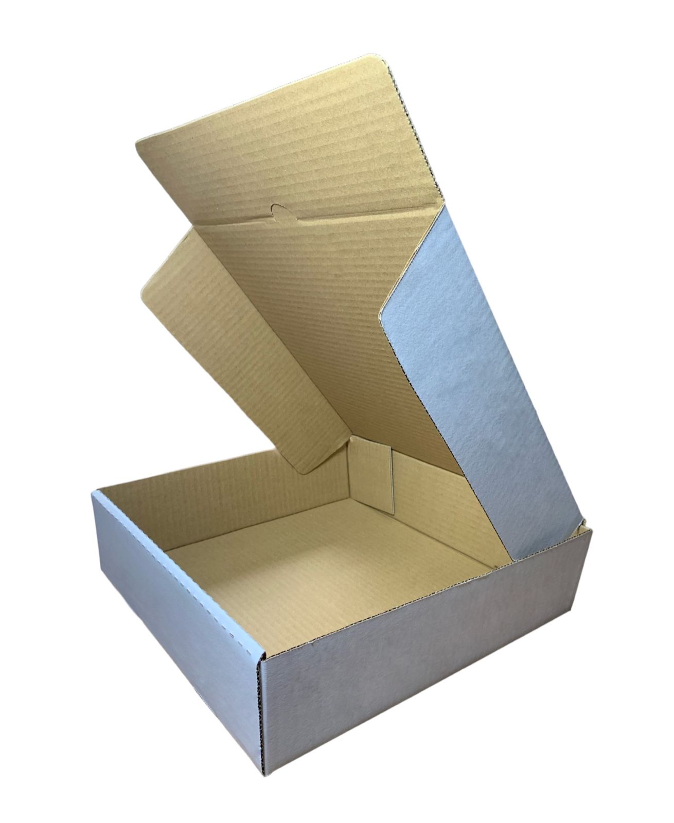 CAIXAS ALIMENTÍCIAS 30x30x8– FECHAMENTO AUTOMÁTICO.